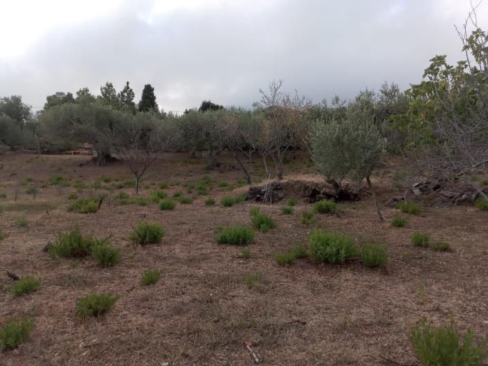 Image No.45-3 Bed Villa for sale