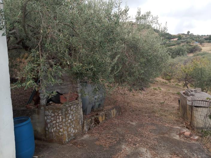 Image No.47-3 Bed Villa for sale