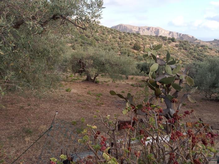 Image No.52-3 Bed Villa for sale