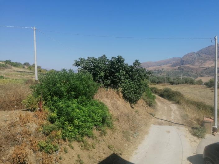 Image No.27-4 Bed Villa for sale