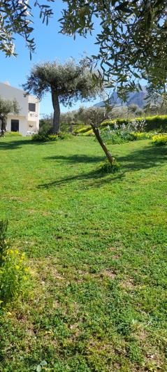 Image No.56-6 Bed Villa for sale