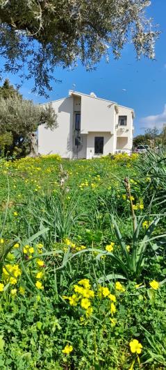 Image No.58-6 Bed Villa for sale