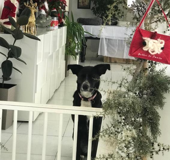 Image No.59-6 Bed Villa for sale