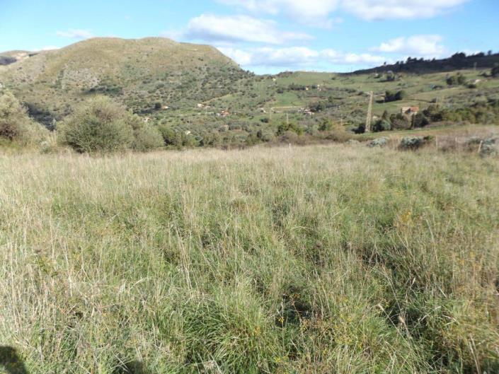 Image No.4-4 Bed Villa for sale