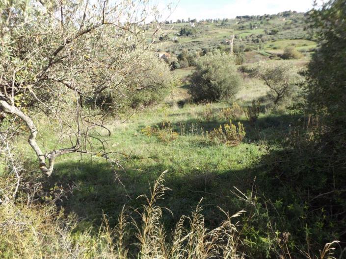 Image No.12-4 Bed Villa for sale