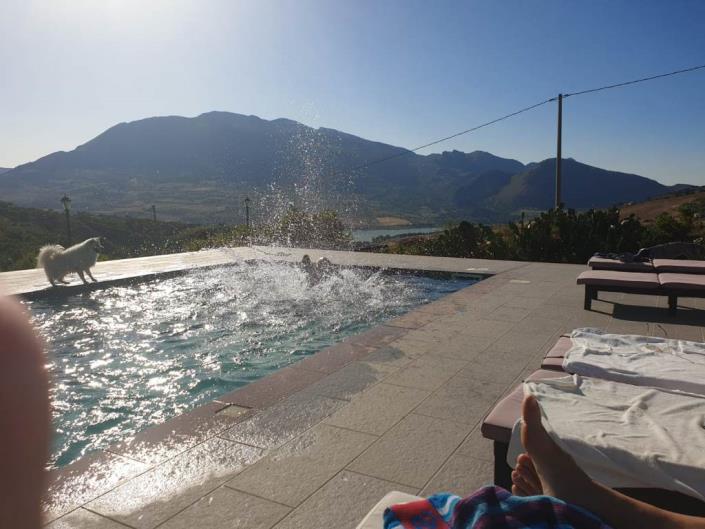 Image No.44-3 Bed Villa for sale