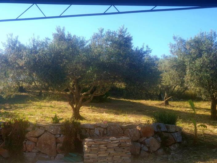 Image No.46-3 Bed Villa for sale