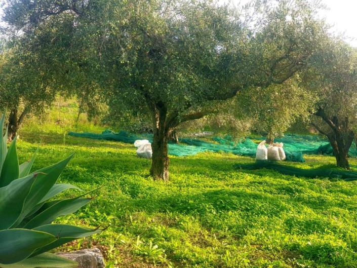 Image No.56-3 Bed Villa for sale