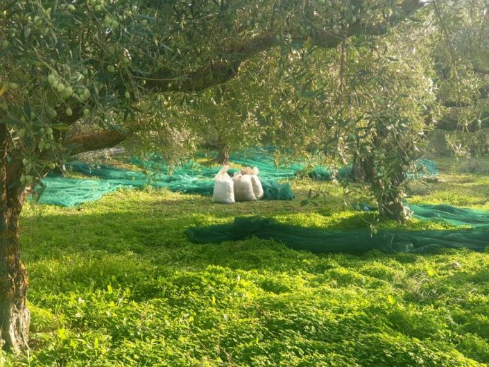 Image No.57-3 Bed Villa for sale