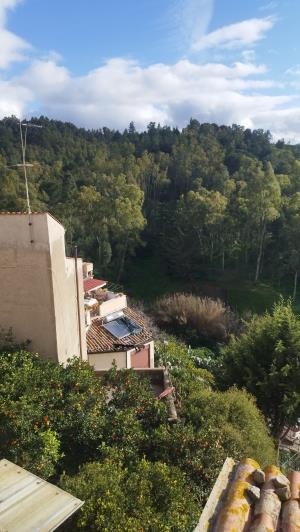 Image No.6-Maison de 4 chambres à vendre à Caccamo
