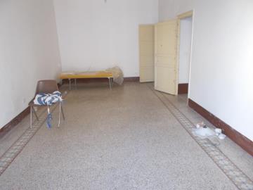 Puccio-Nicasia---Co---14-