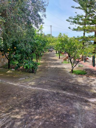 Image No.52-4 Bed Villa for sale