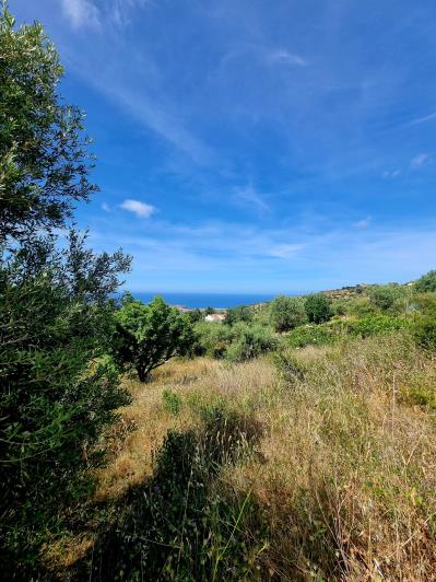 Image No.4-2 Bed Land for sale