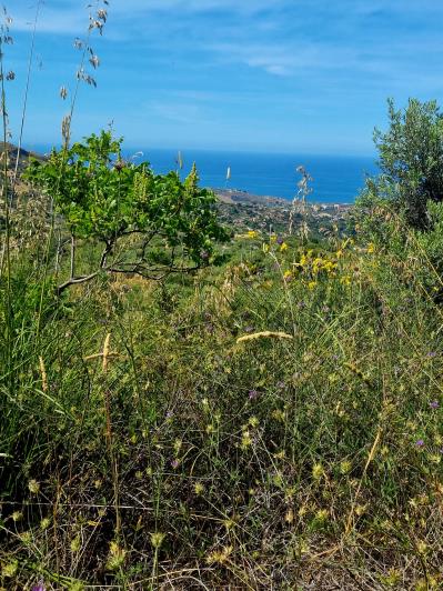 Image No.5-2 Bed Land for sale