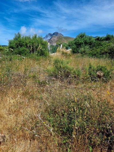 Image No.8-2 Bed Land for sale