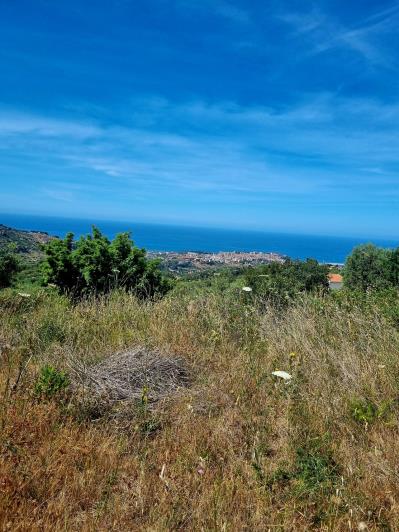 Image No.10-2 Bed Land for sale