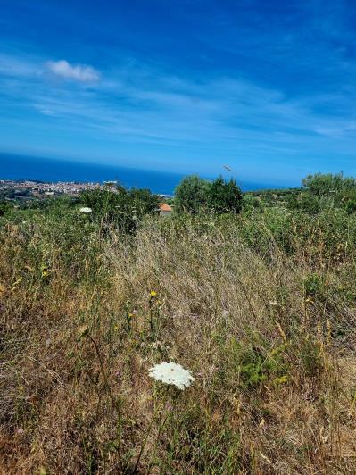 Image No.13-2 Bed Land for sale