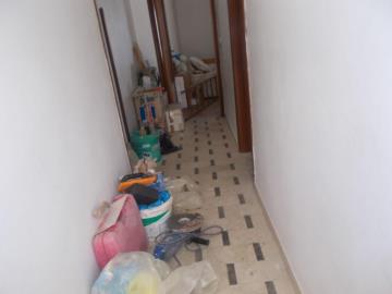 Lodino-Gpp---Co---7-