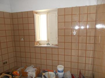 Lodino-Gpp---Co---10-