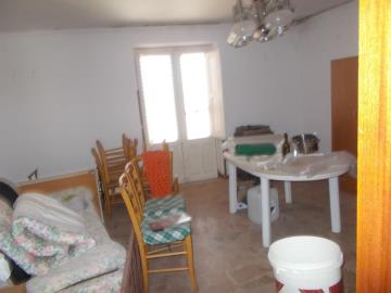 Lodino-Gpp---Co---12-