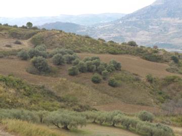Guzzino-Maria---Ci---1-