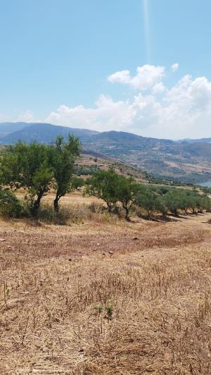 Image No.3-2 Bed Land for sale