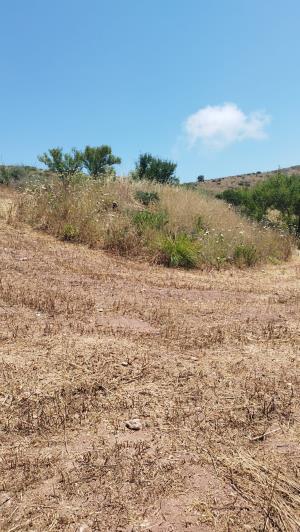 Image No.7-2 Bed Land for sale