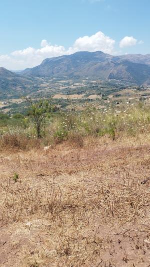 Image No.9-2 Bed Land for sale