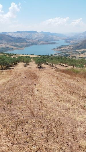 Image No.10-2 Bed Land for sale