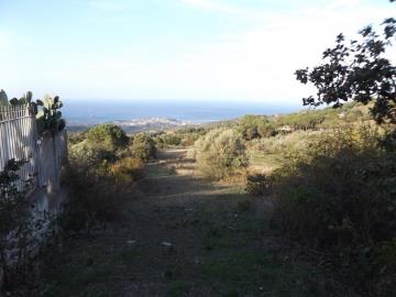 Priolo-Salv---Ci---2-