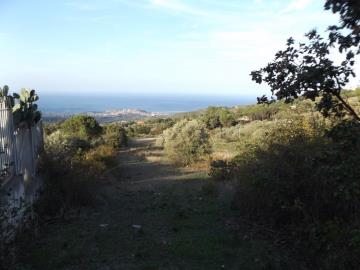 Priolo-Salv---Ci---3-