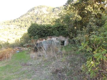 Priolo-Salv---Ci---4-