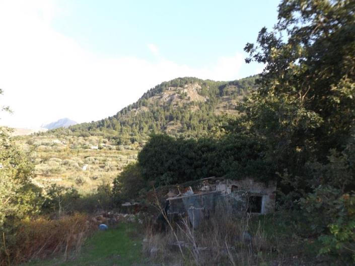 Image No.5-4 Bed Land for sale