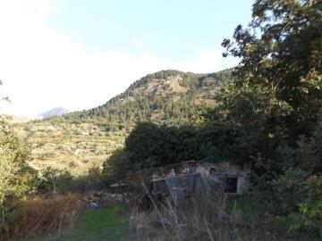 Priolo-Salv---Ci---5-