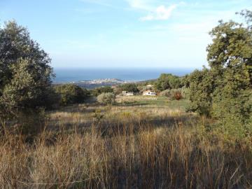 Priolo-Salv---Ci---6-