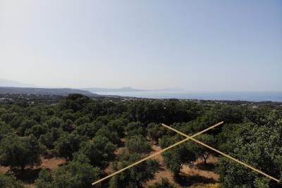 Buildable-plot-with-olive-grove_4