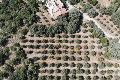 Buildable-plot-with-olive-grove_5