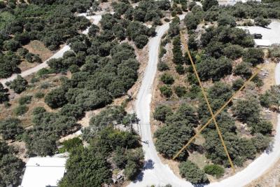 Buildable-plot-with-olive-grove-overlooking-Lybian-sea_2