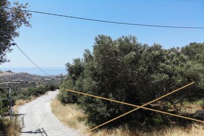 Buildable-plot-with-olive-grove-overlooking-Lybian-sea_6