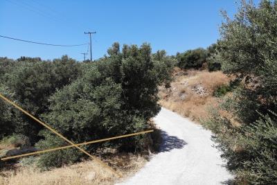 Buildable-plot-with-olive-grove-overlooking-Lybian-sea_5