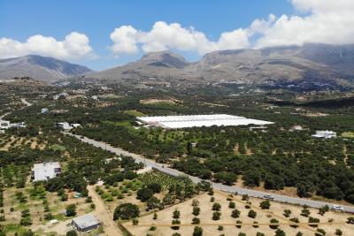 Buildable-plot-with-olive-grove-near-Damnoni-Bay_3