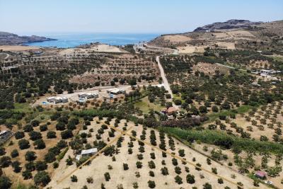 Buildable-plot-with-olive-grove-near-Damnoni-Bay_5