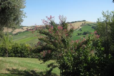 View-across-hill