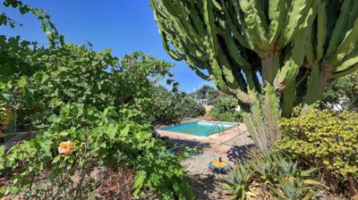 pool and garden