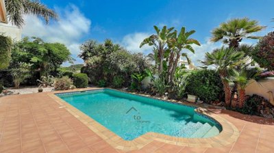 beautiful pool