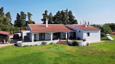 renovated villa