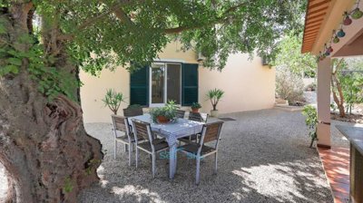 al-fresco dining under carob tree