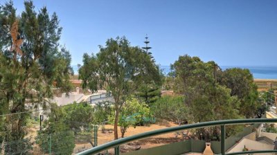 surrounding greenery