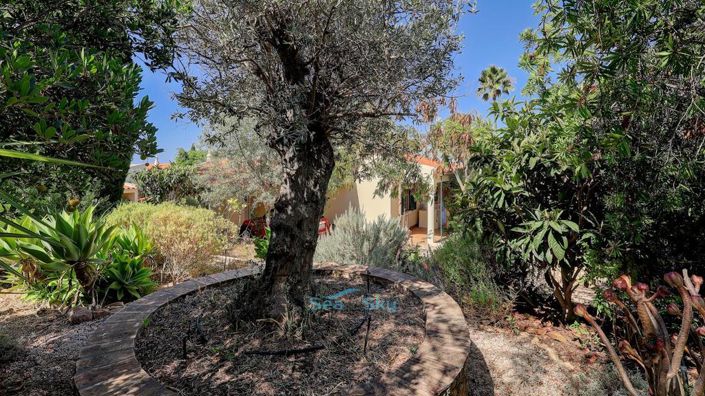 Image No.48-4 Bed House for sale