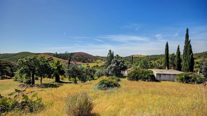 Image No.62-3 Bed House for sale